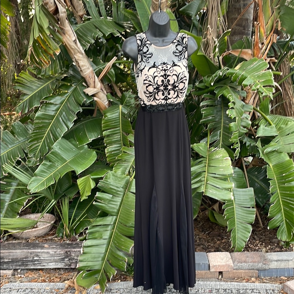 betsy and Adam Lace  embroidered dress